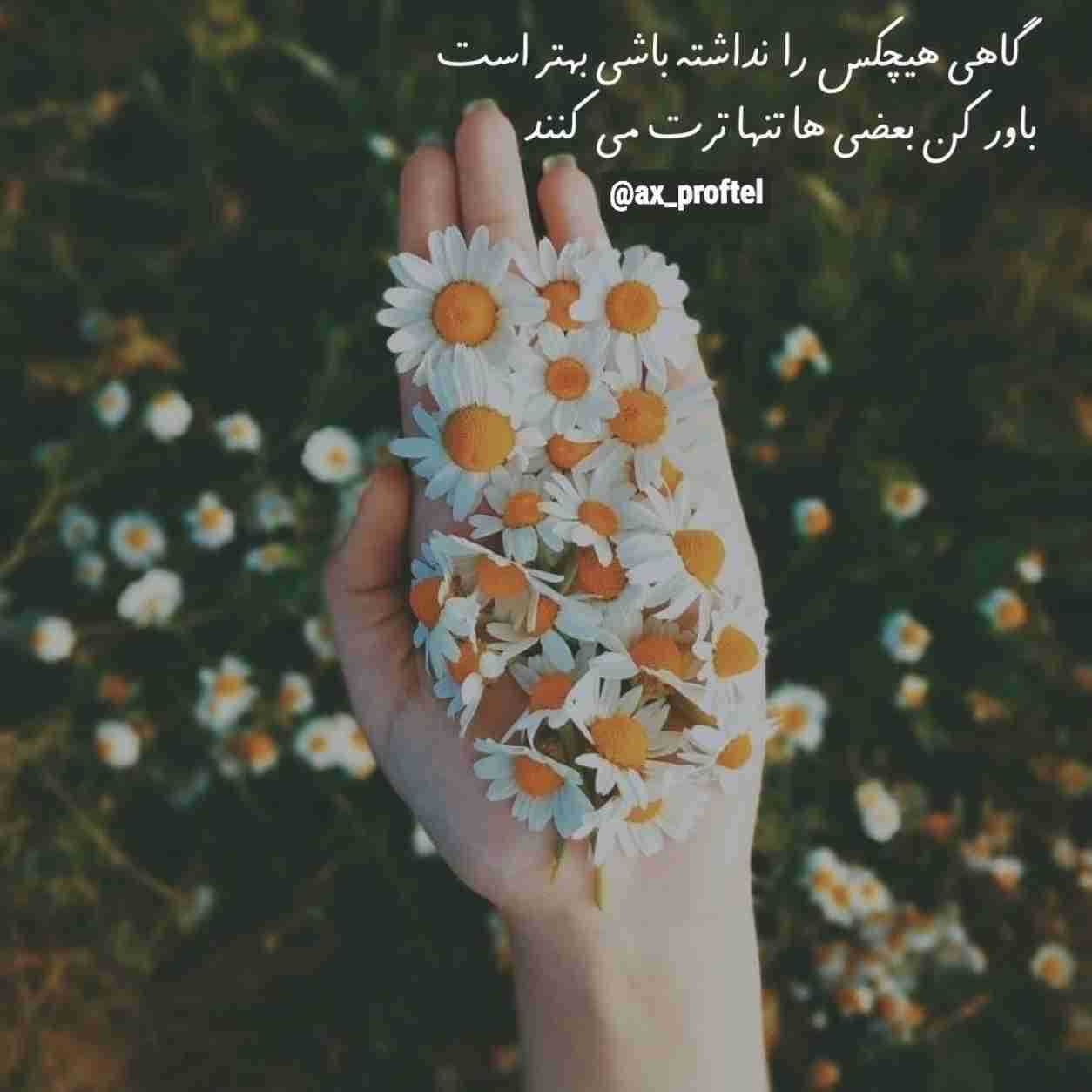 حمیرا ( ورژن هوش مصنوعی ) مهربون من بیا