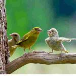 دانلود آهنگ کیوان ( ورژن هوش مصنوعی ) به نام بارون غم