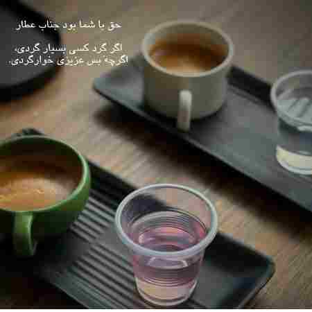 مهستی ( ورژن هوش مصنوعی ) جواب حرفاتو خودم بخونم 