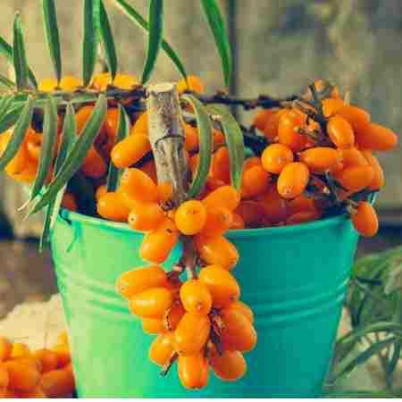 مهستی ( ورژن هوش مصنوعی ) شایدم وقتی رسید 