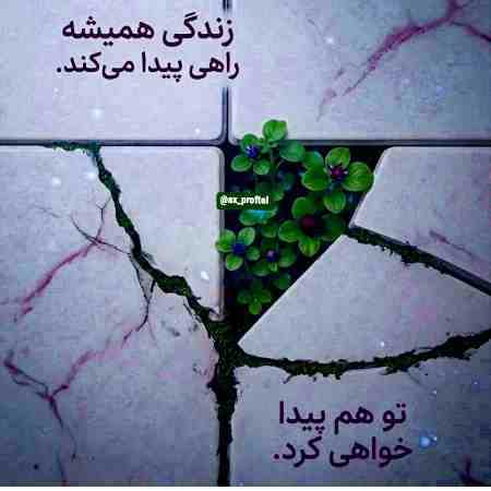نورا ( ورژن هوش مصنوعی )  کارما