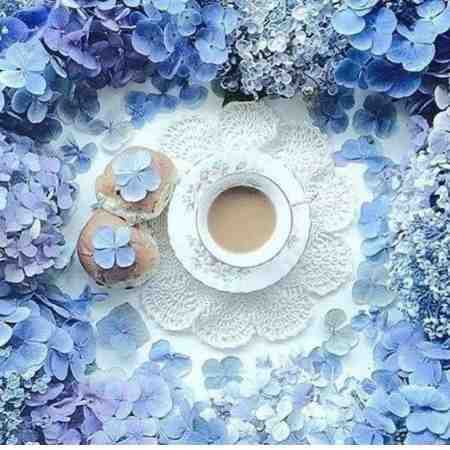 شهره صولتی ( ورژن هوش مصنوعی ) تو که نیستی 