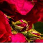 دانلود آهنگ ویناک و هوش مصنوعی به نام از تو دلگیرم دانلود آهنگ ویناک و هوش مصنوعی به نام از تو دلگیرم