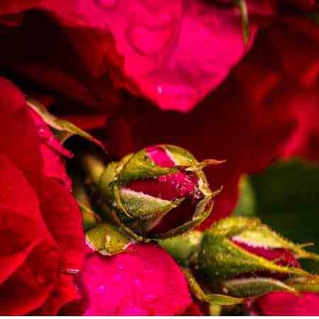 ویناک و هوش مصنوعی  از تو دلگیرم