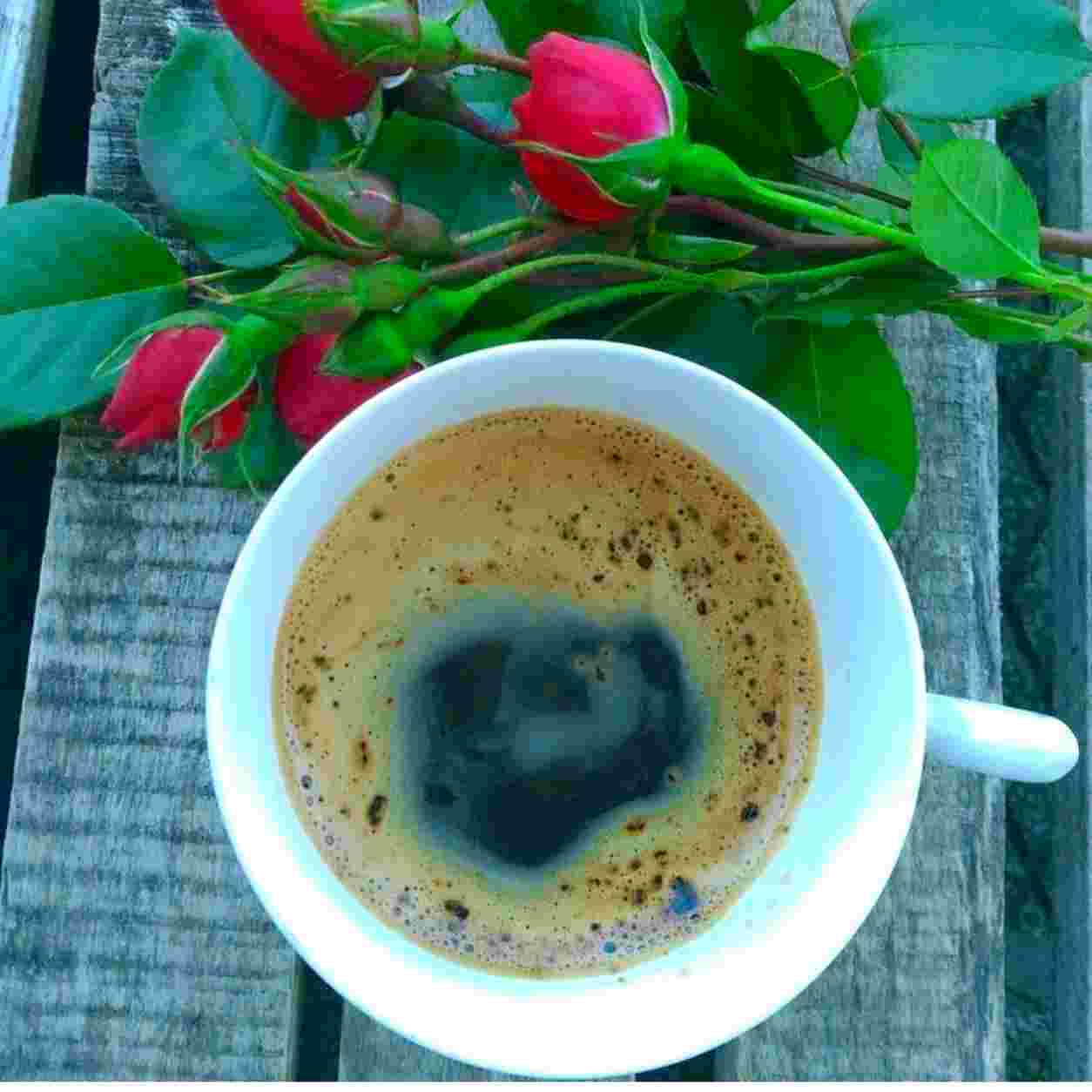 Ysika ( ورژن هوش مصنوعی ) عشق من ناز نکن عمر ما پایون میگیره