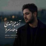 دانلود آهنگ آریا سعیدی به نام آخه چرا شدی باهام سرد