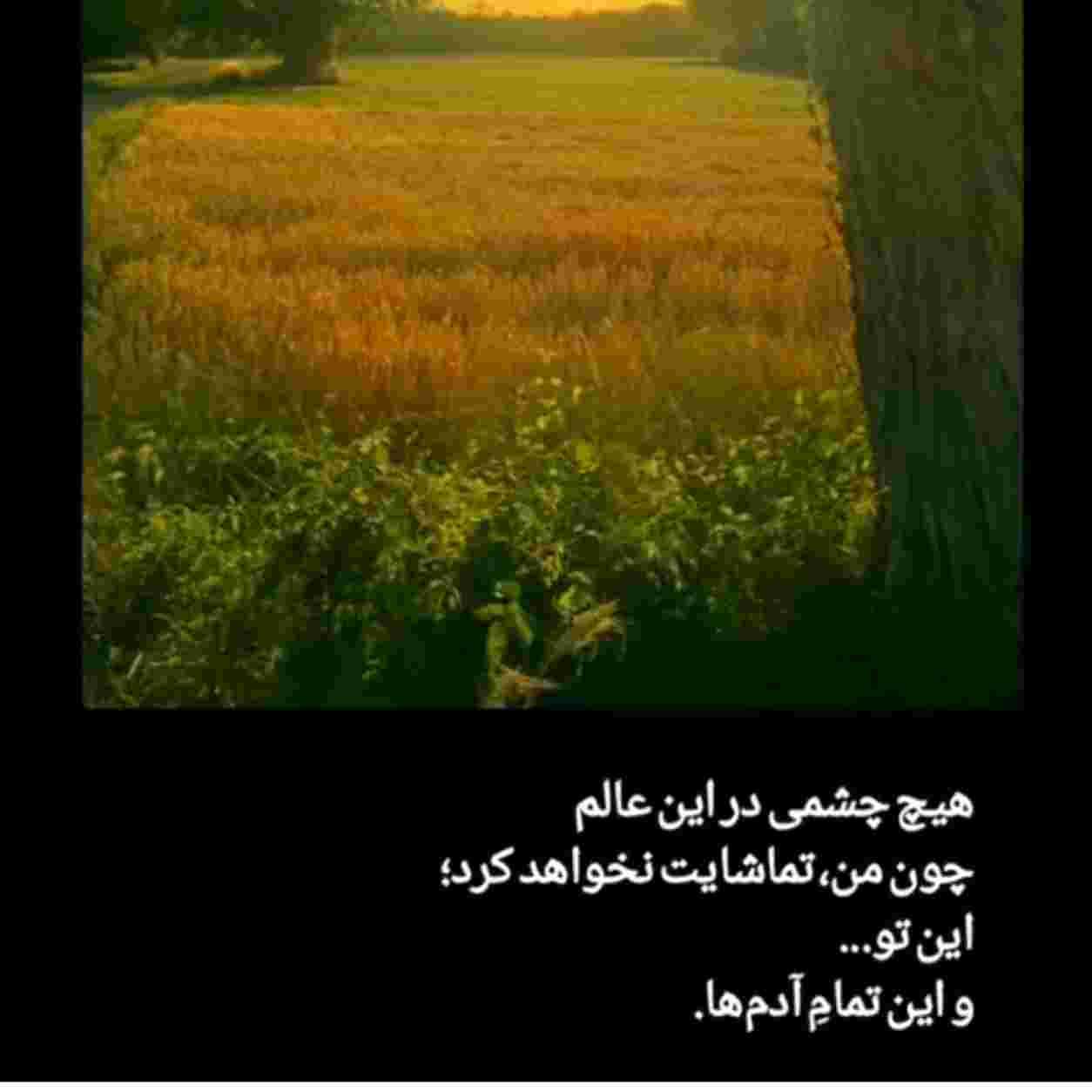 آوا ( ورژن هوش مصنوعی ) من باید می رفتم