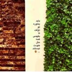 دانلود آهنگ آوا ( ورژن هوش مصنوعی ) به نام منو تو تو جشن بارون