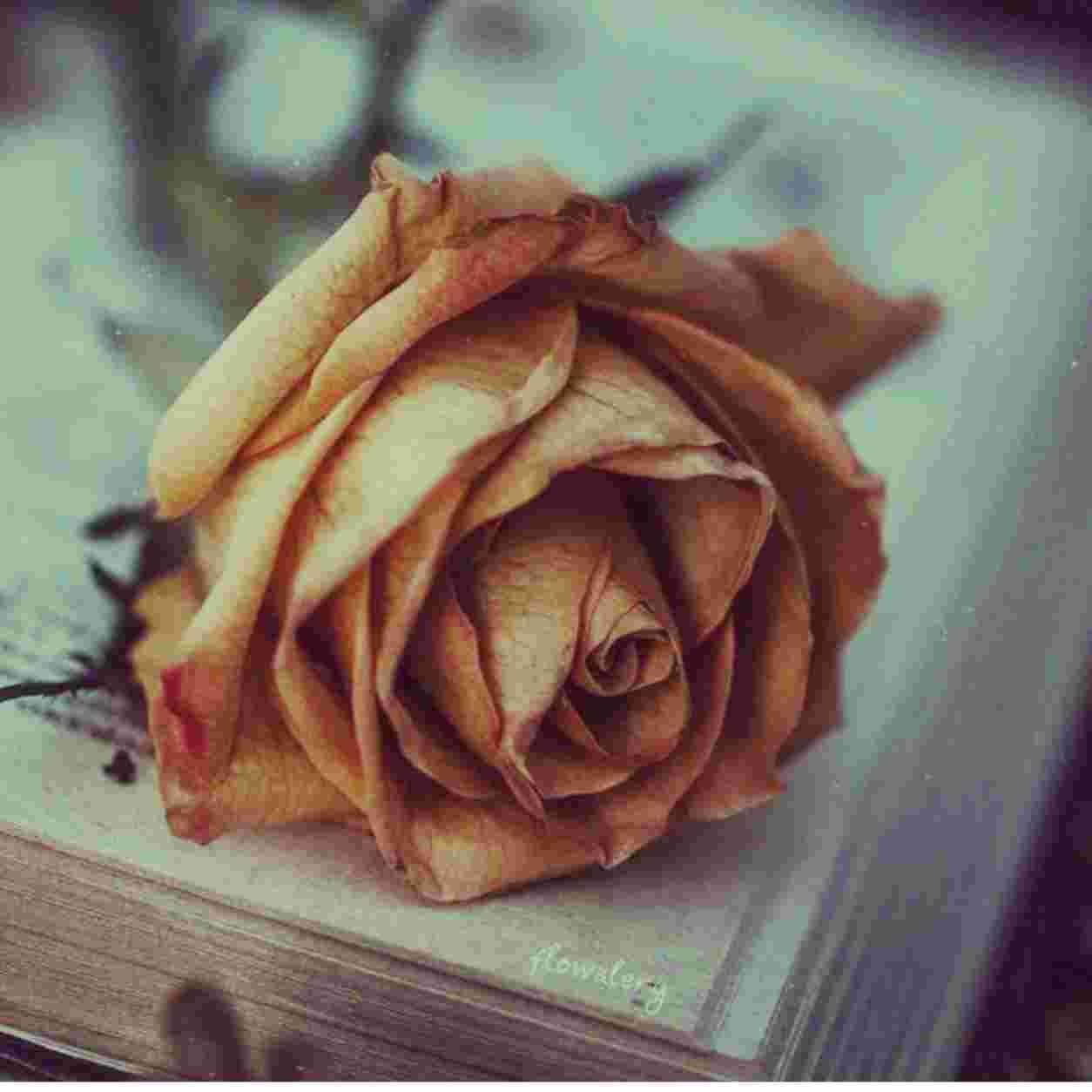 آوا ( ورژن هوش مصنوعی ) توی تنهایی یک دشت بزرگ