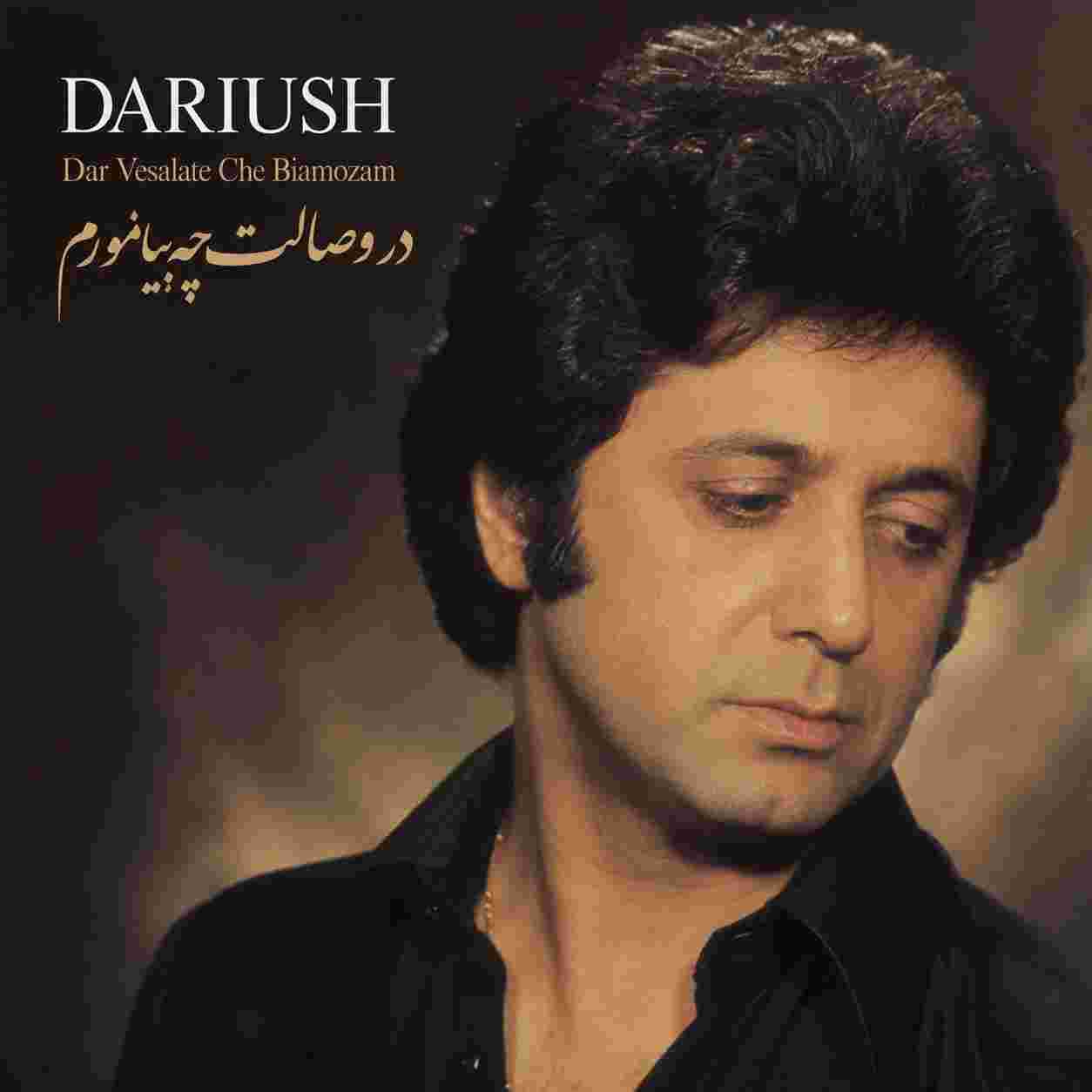 داریوش ( ورژن هوش مصنوعی ) در وصالت چه بیاموزم