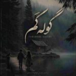 دانلود آهنگ فریبرز سلیمی به نام گوله کم