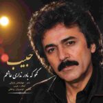دانلود آهنگ حبیب ( ورژن هوش مصنوعی ) به نام نگو که باور نداری عاشقم