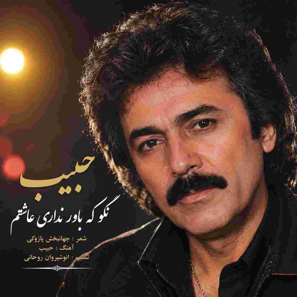 حبیب ( ورژن هوش مصنوعی ) نگو که باور نداری عاشقم