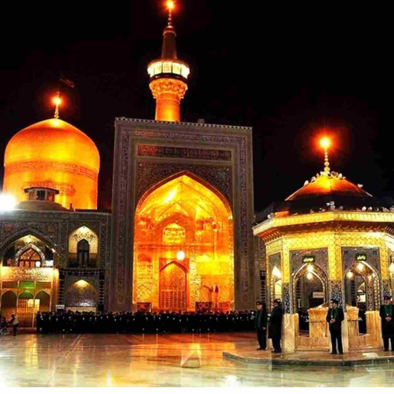 جواد محمدی امام رضا 