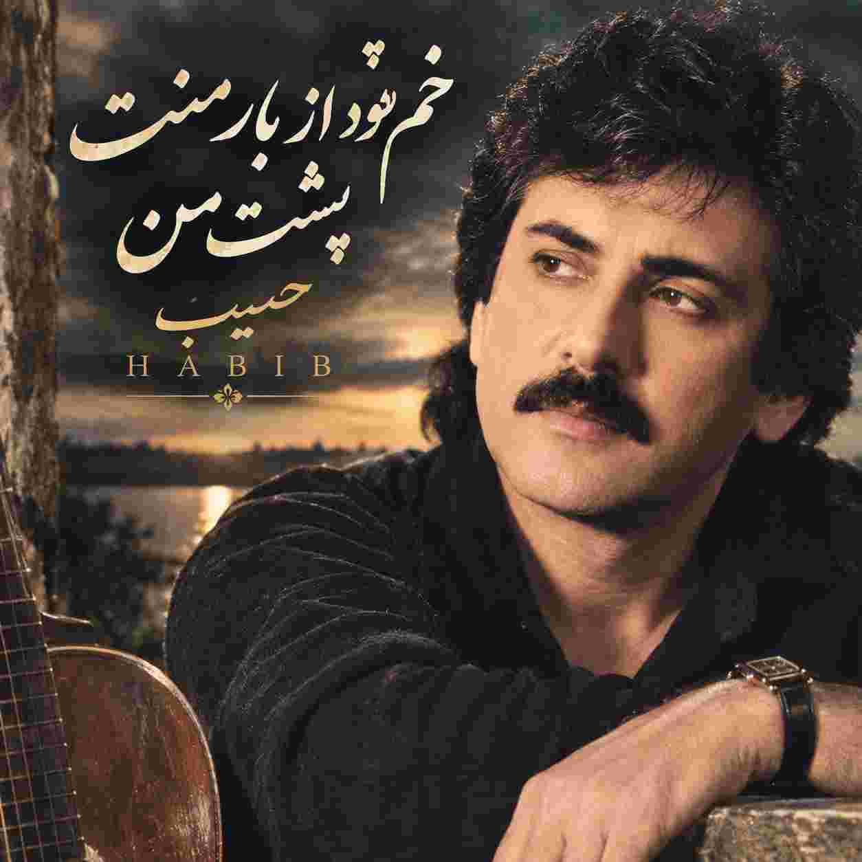 حبیب ( ورژن هوش مصنوعی ) خم شود از بار منت پشت من