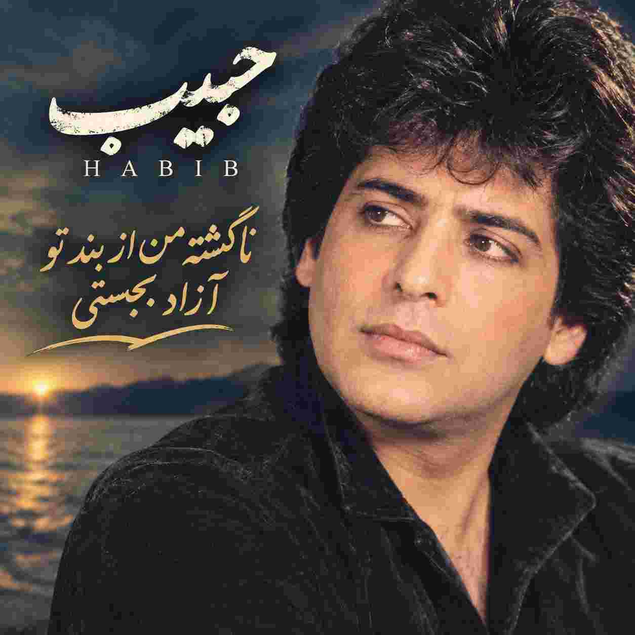 حبیب ( ورژن هوش مصنوعی ) ناگشته من از بند تو آزاد بجستی