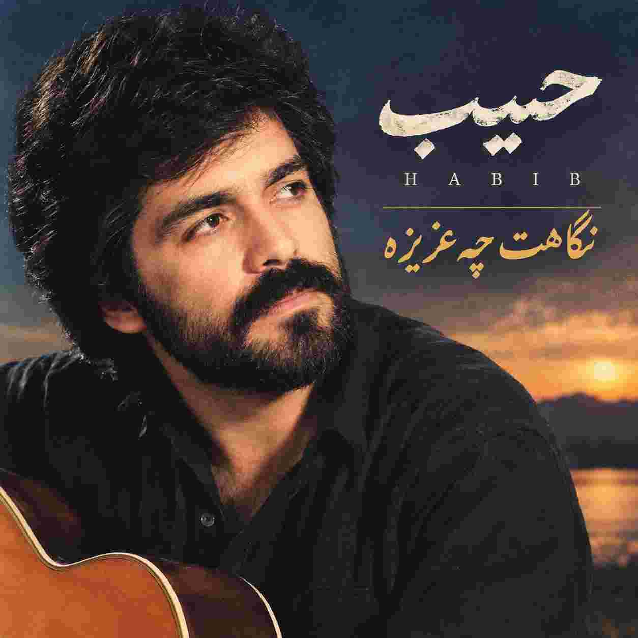 حبیب ( ورژن هوش مصنوعی ) نگاهت چه عزيزه
