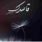 دانلود آهنگ رضا میرزاخانی به نام قاصدک هان چه خبر آوردی
