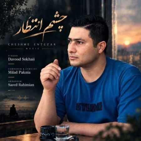 داوود سخائی رفتی و بعد تو چیزی نمانده در کنارم