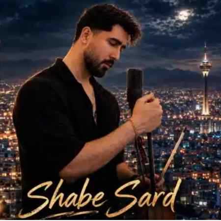 میلاد امیر انصاری شب سرد